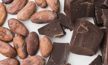 Pesquisadores desenvolvem formulação em pó para substituir o uso do cacau na produção de chocolate