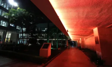 Maio Laranja intensifica ações contra o abuso e a exploração sexual de crianças e adolescentes