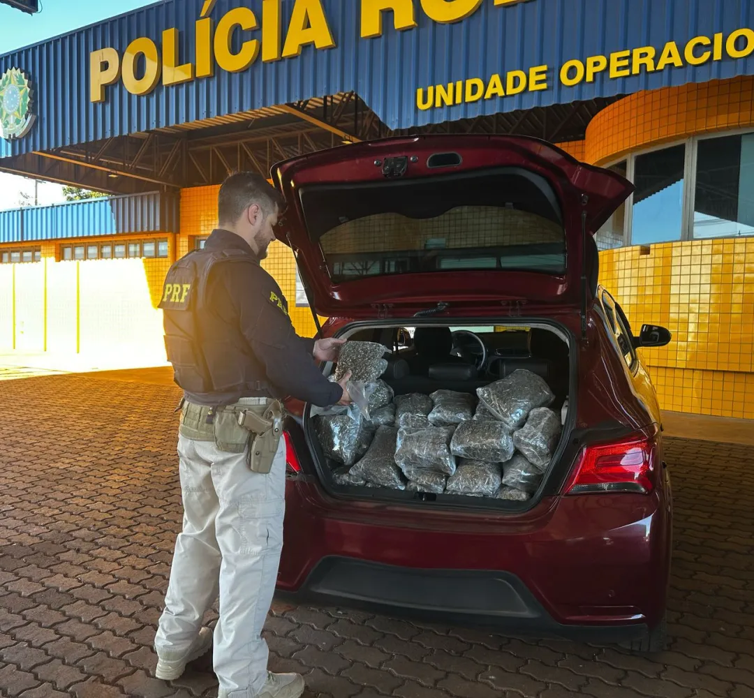 apreensão de maconha