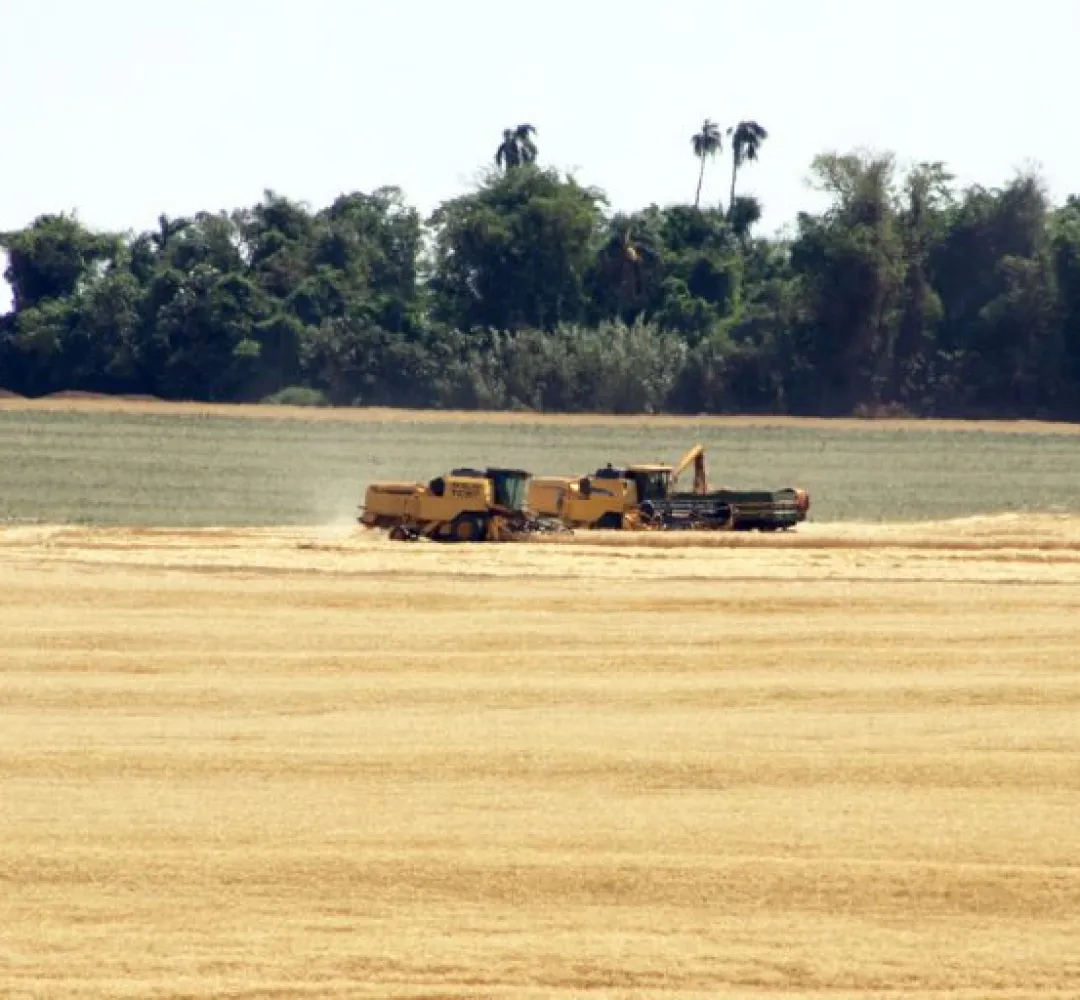 agro
