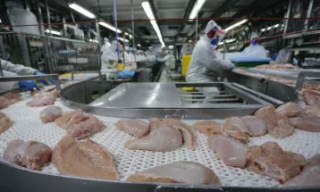 US$ 1,56 bilhão: exportação de carne do Paraná cresce 20,8% nos primeiros meses de 2025