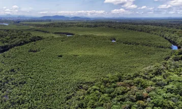 Paraná reduz em 64% o desmatamento ilegal, indica Fundação SOS Mata Atlântica