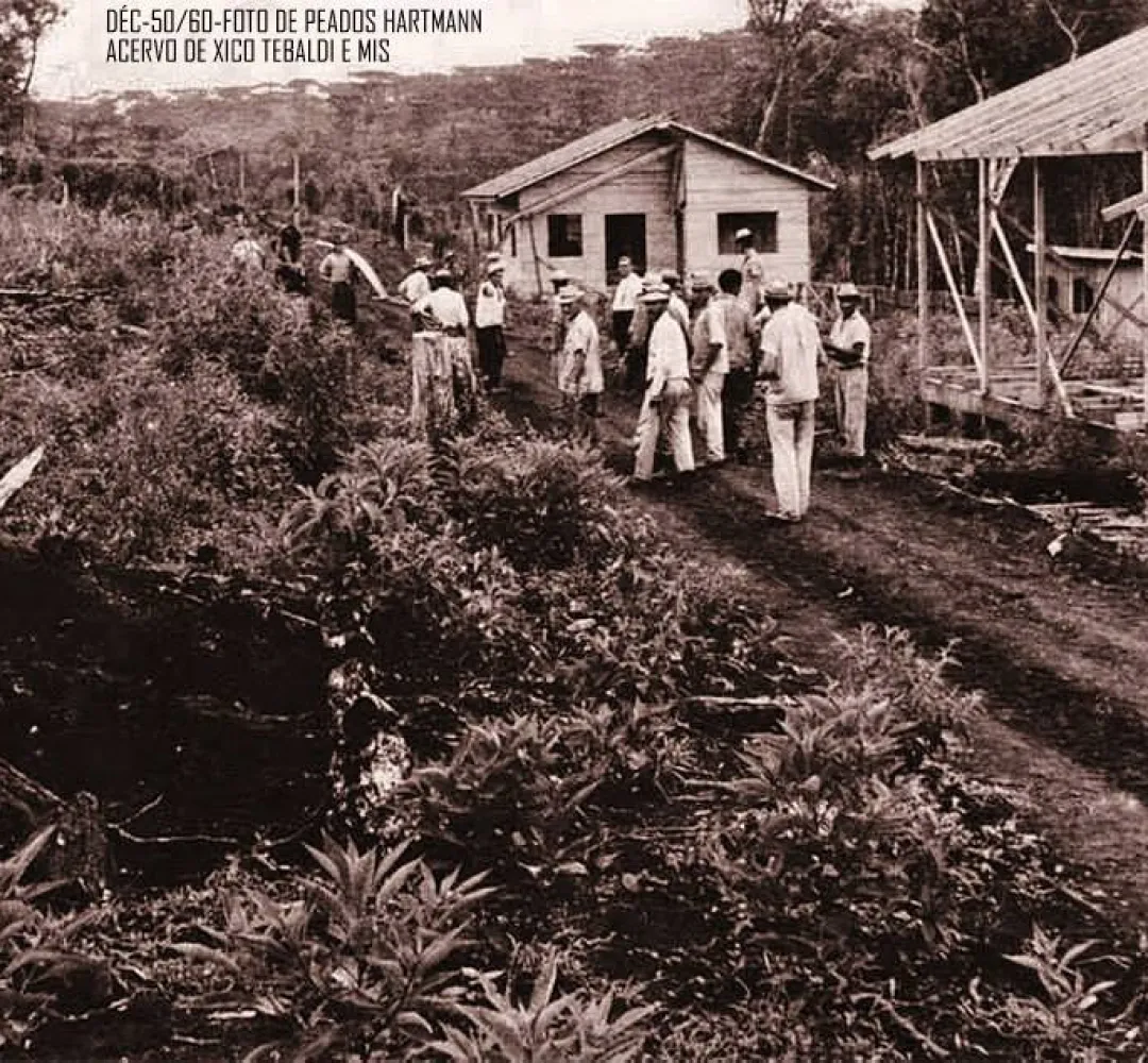 Cascavel primórdios