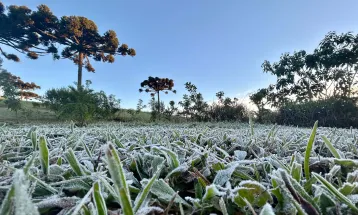 Paraná volta a registrar geadas e temperaturas negativas após quase duas semanas