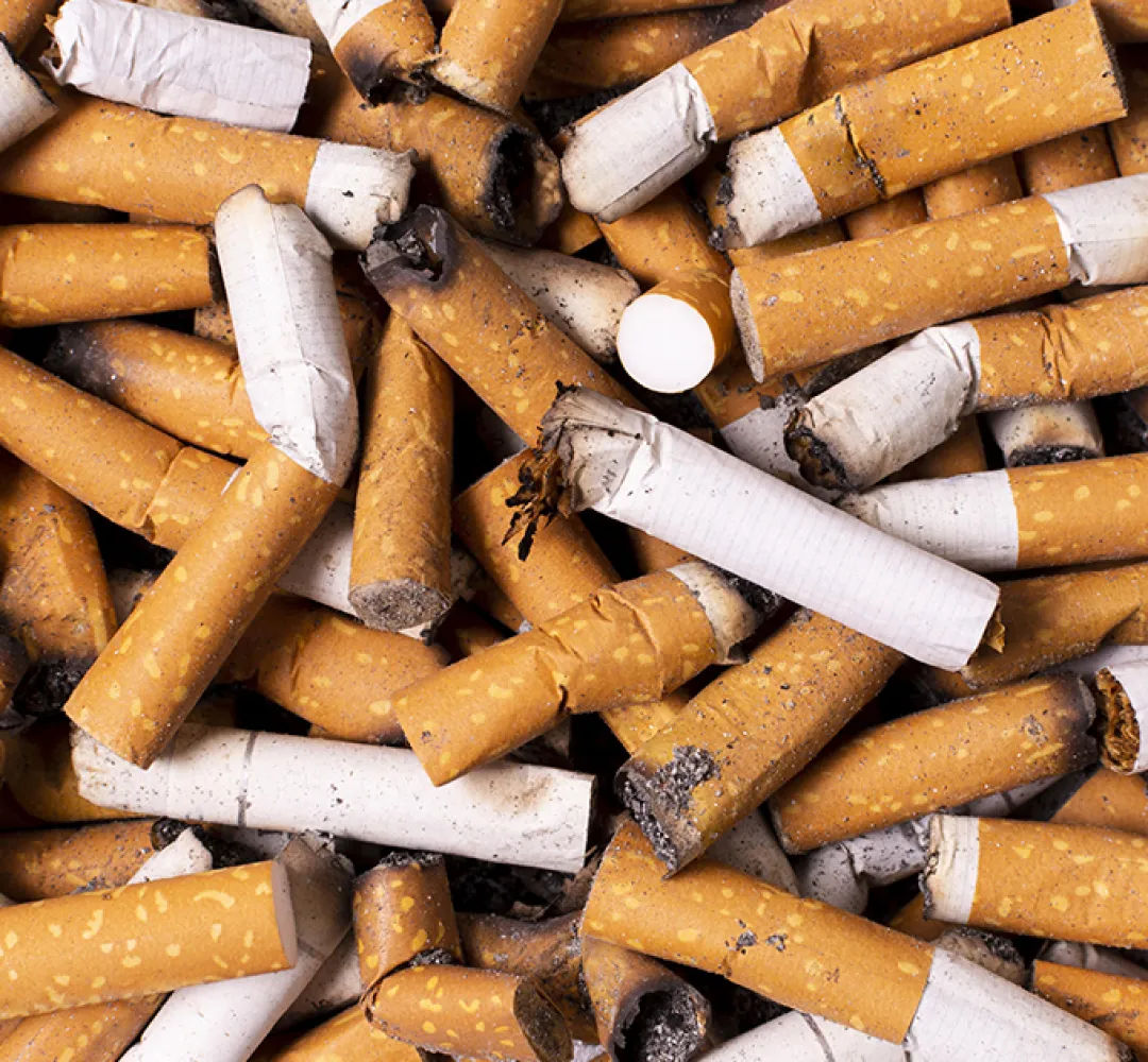 Uso de tabaco é uma das mais potentes