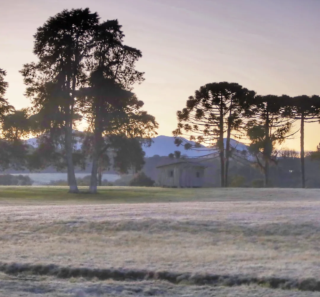 Frio Paraná