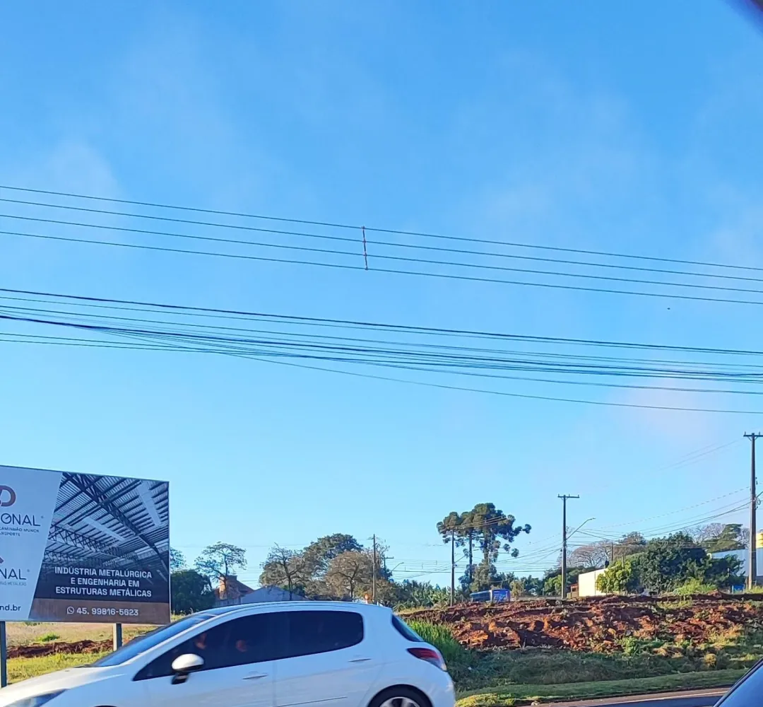 Previsão