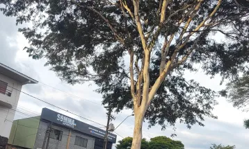 Semana começa com tempo fechado e alerta de chuva em Cascavel