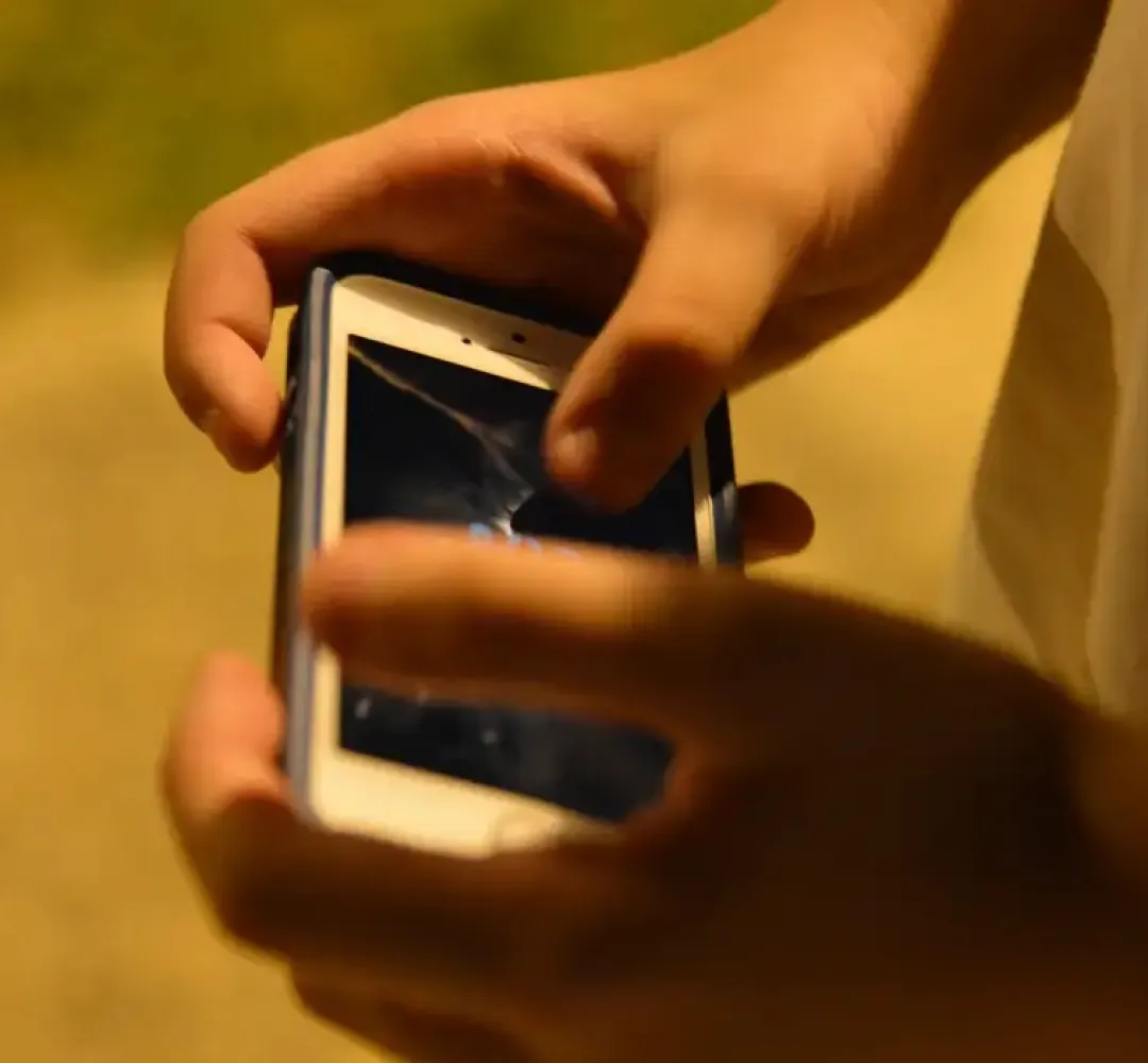 Celular