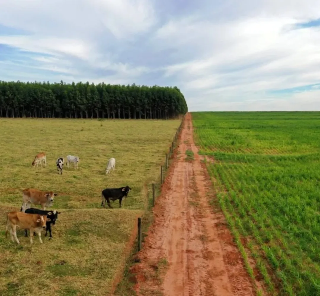 área rural