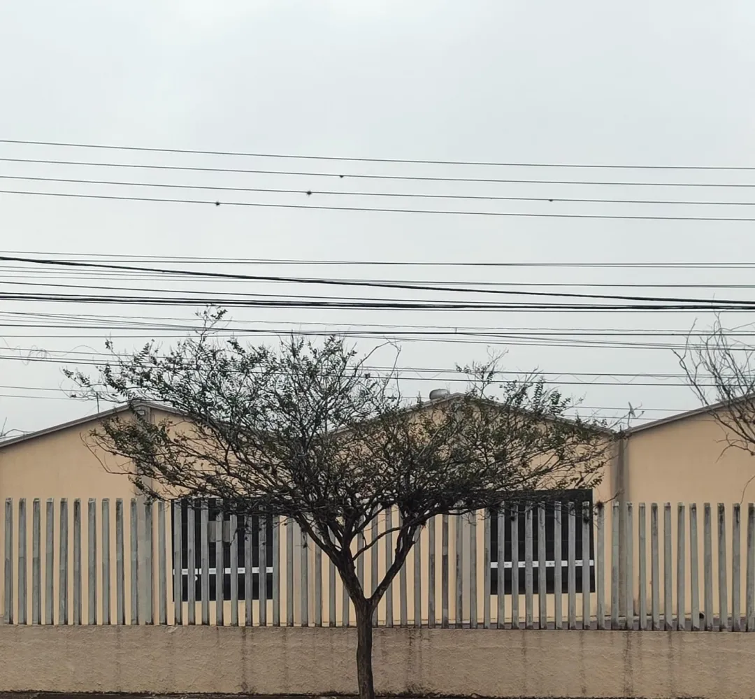 Arquivo Gazeta