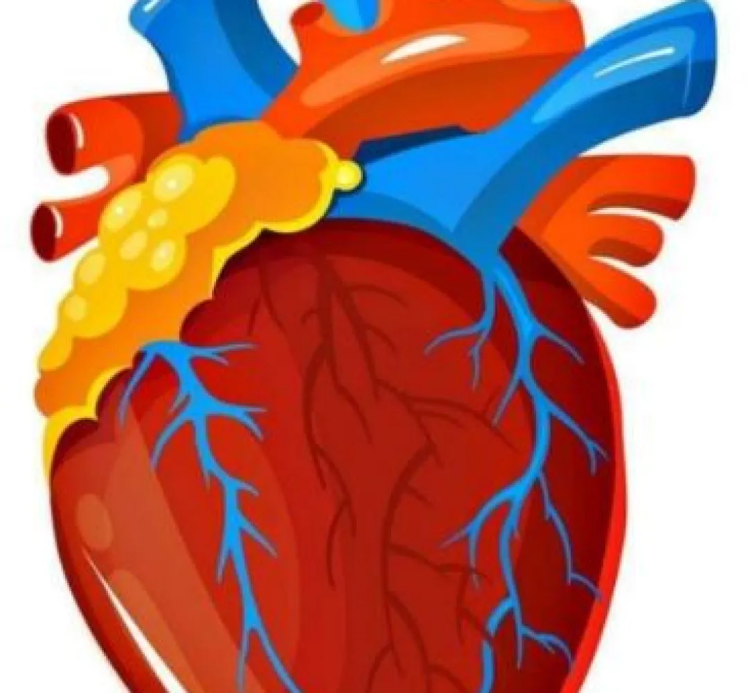 pinterest.com.mx