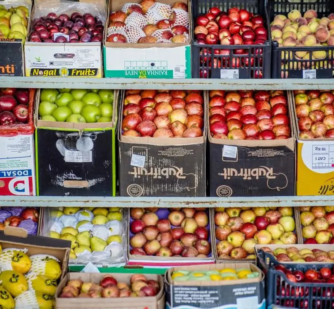 alimentos
