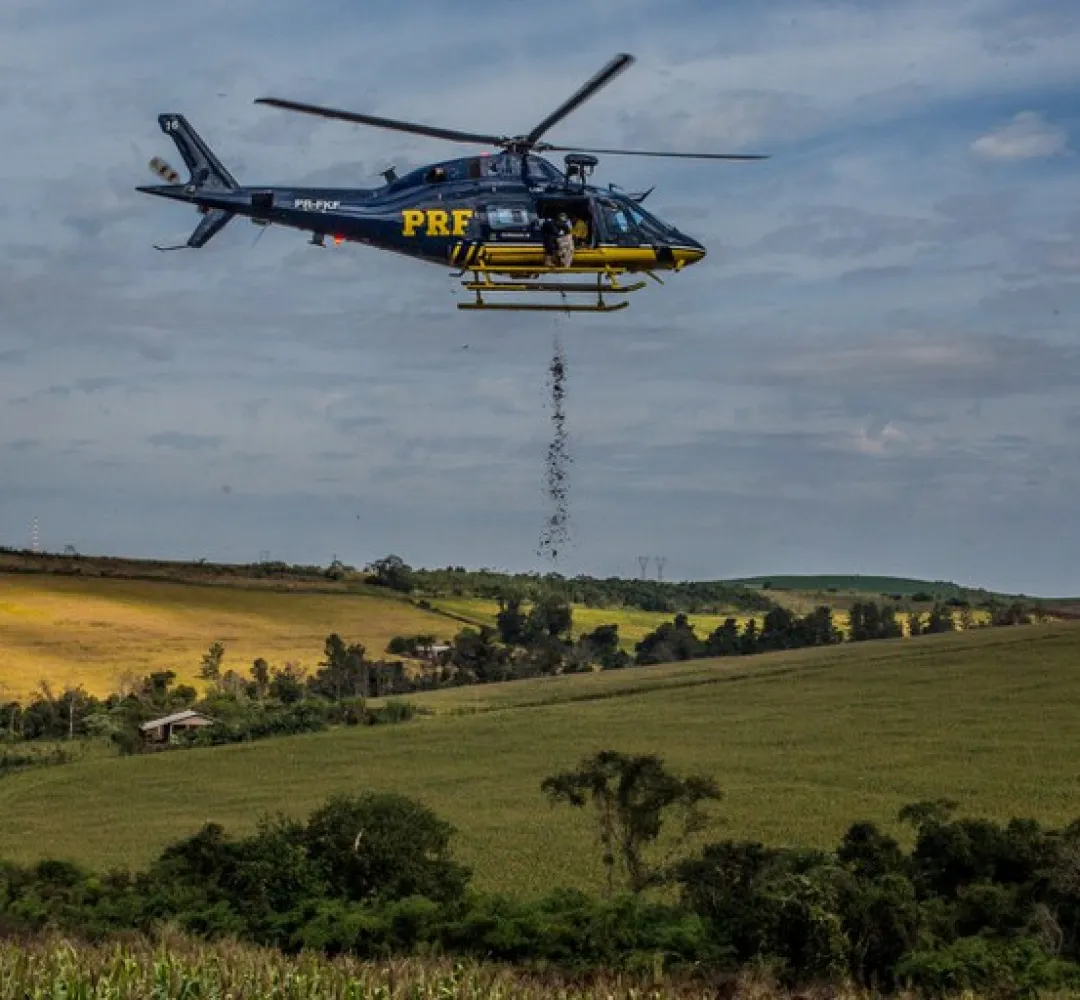 Aeronave PRF sementes