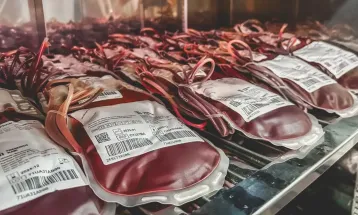 Dia do Doador de Sangue: saiba quem pode doar hoje no Paraná