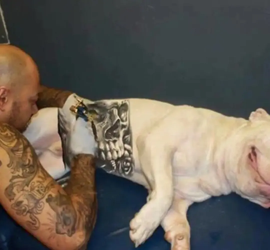 tatuagem em cão
