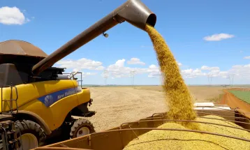 Exportações do Paraná garantem superávit de US$ 1,1 bilhão no 1º semestre de 2026; soja lidera vendas