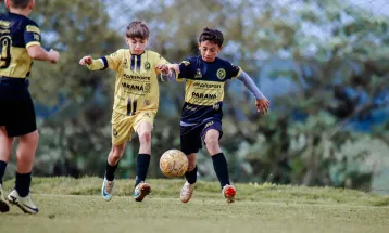 Piás do ninho nas fases de mata-mata do Estadual