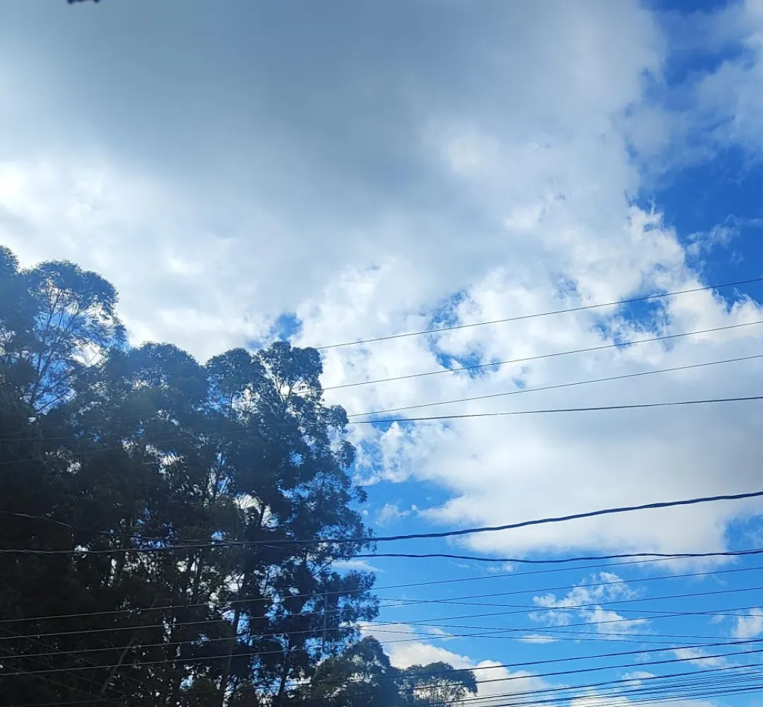 Previsão