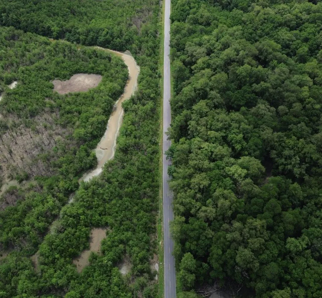 Rodovia amazônia