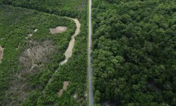 Em 40 anos, Amazônia perdeu área de vegetação do tamanho da França