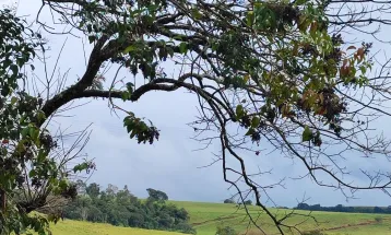 Paraná inteiro em alerta: instabilidade toma conta do estado