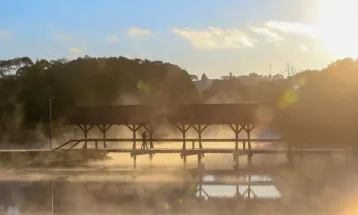 Paraná enfrenta madrugada gelada com temperaturas negativas em várias cidades