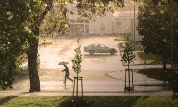 Por que sentimos cheiro de chuva? E gosto de mofo na água?