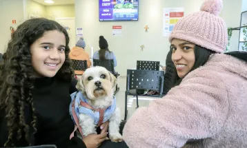 Hospital Veterinário Municipal de Curitiba completa cinco meses com média de 100 consultas por dia