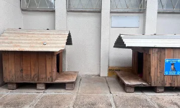 Corbélia promove entrega de casinhas para animais de rua e realiza feirinha de adoção no dia 3 de julho