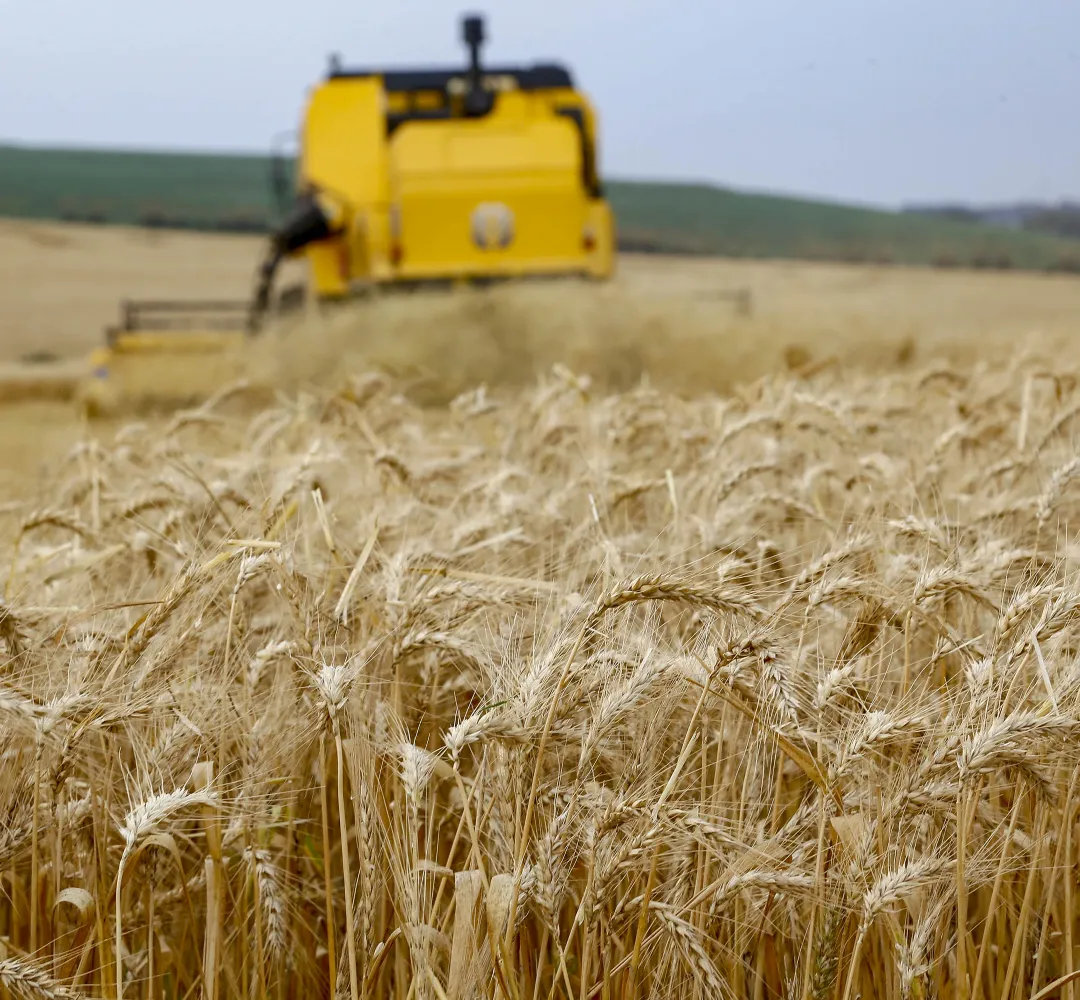 agro