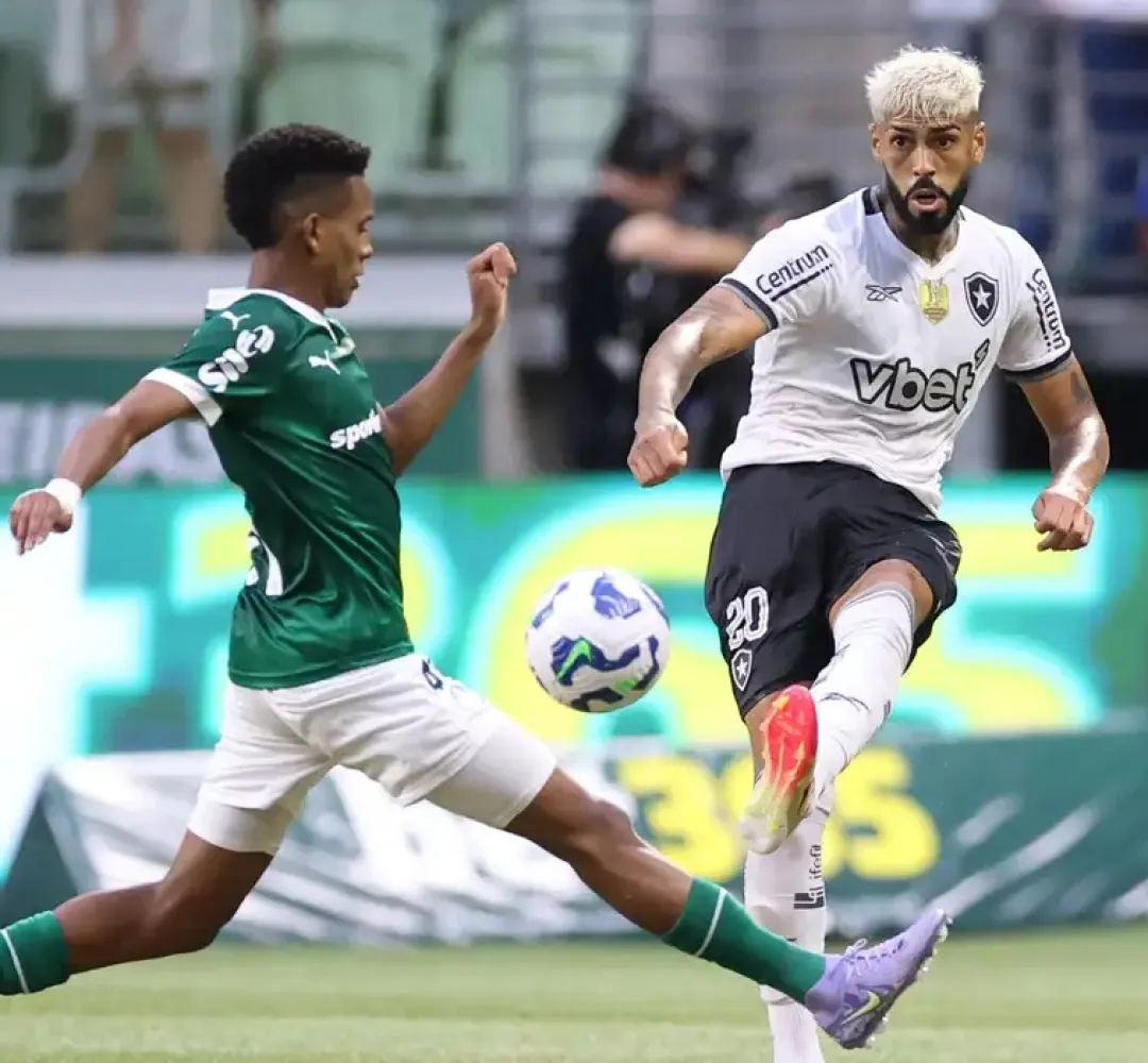 Botofogo x Palmeiras
