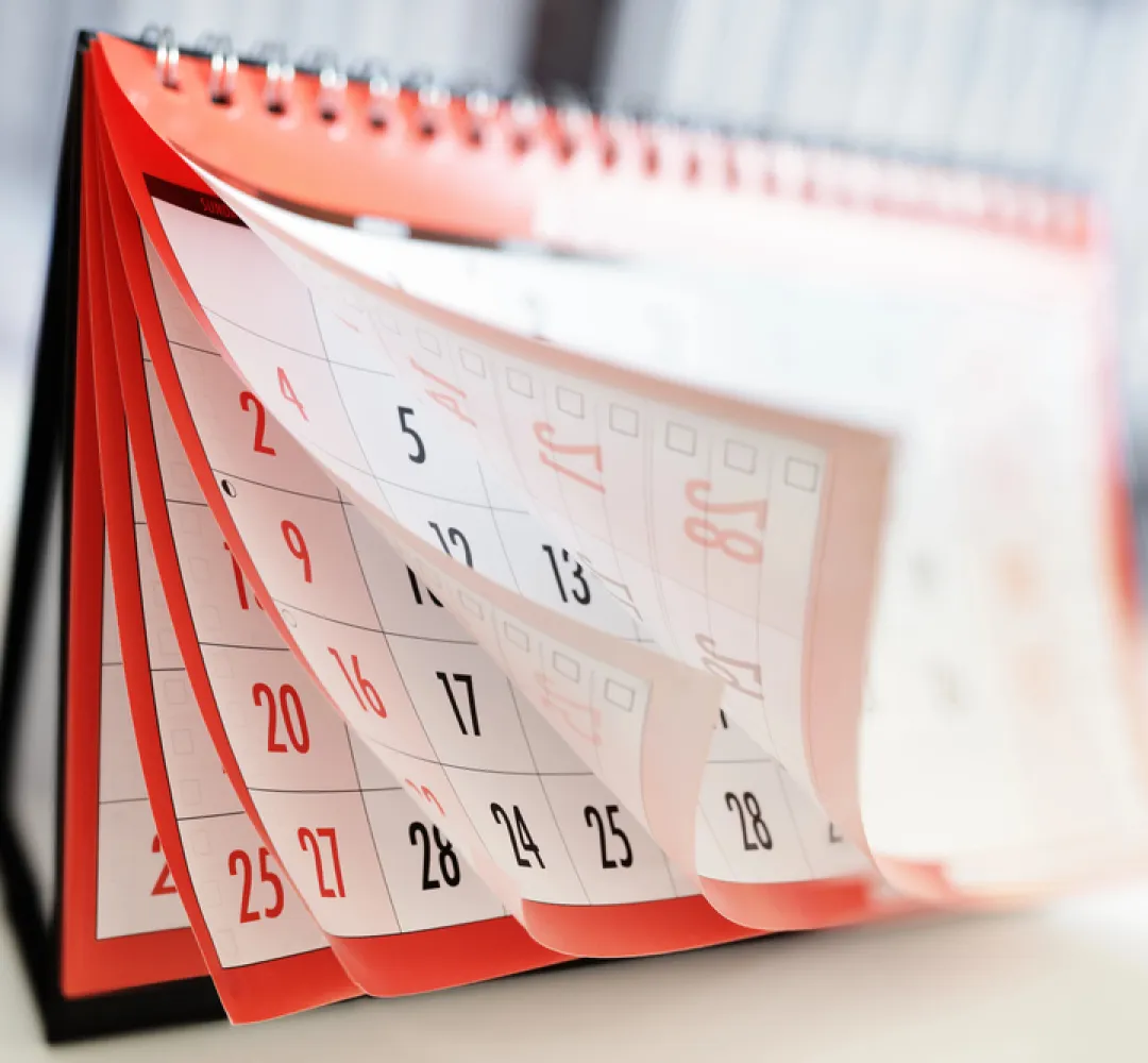 calendário