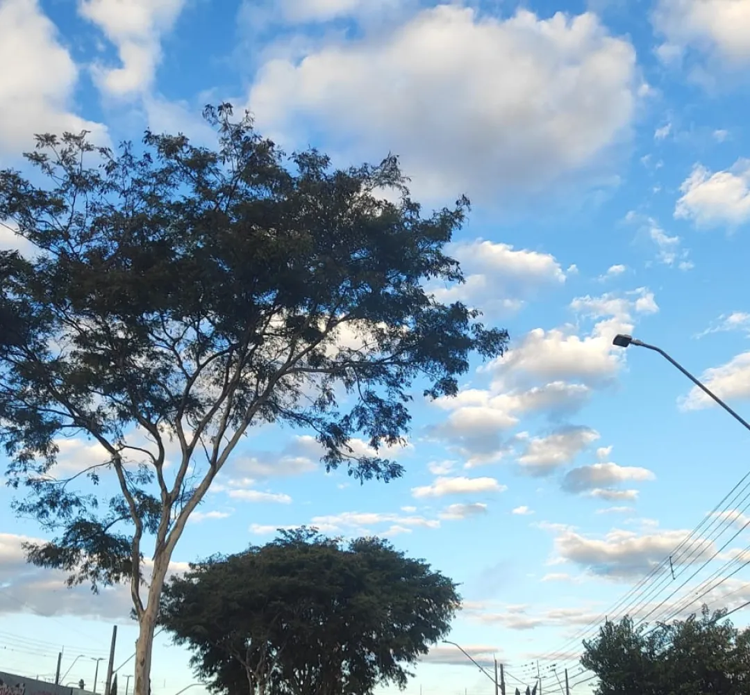 Previsão do tempo