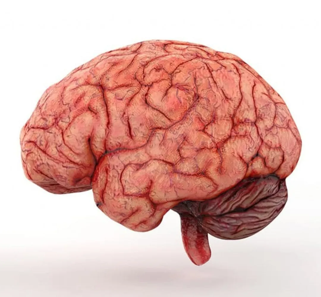 (Imagem: Edit 4 Me/Shutterstock)