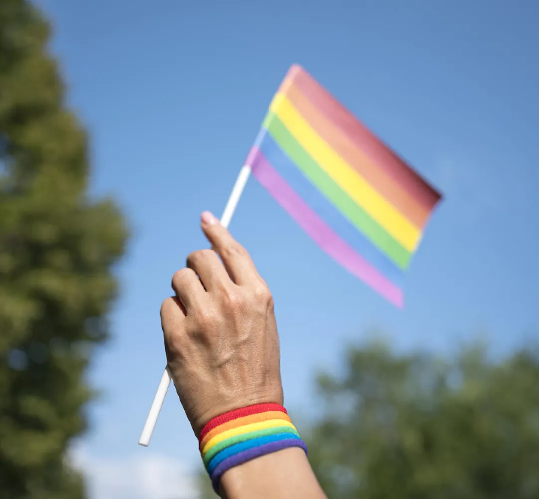 Bandeira LGBT