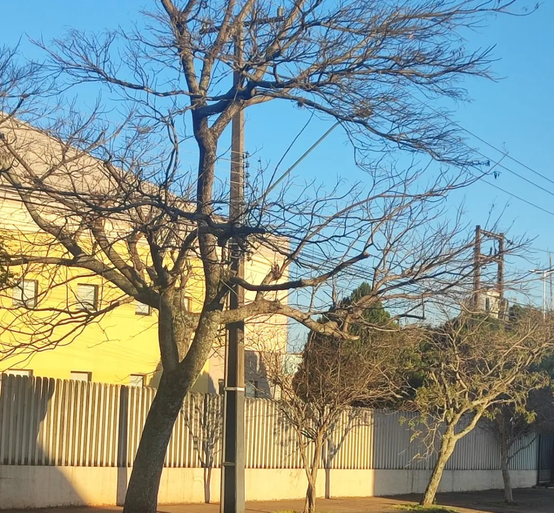 Previsão do tempo