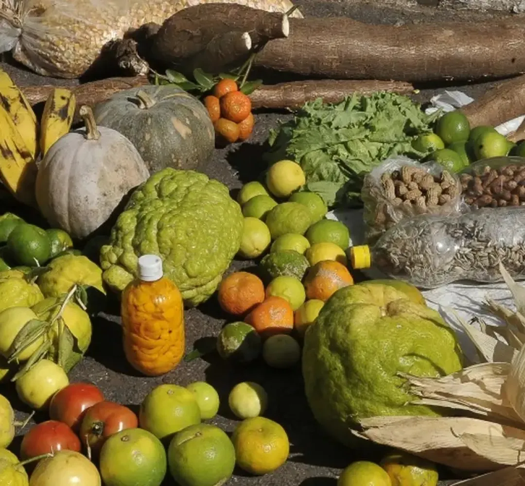 agricultura familiar