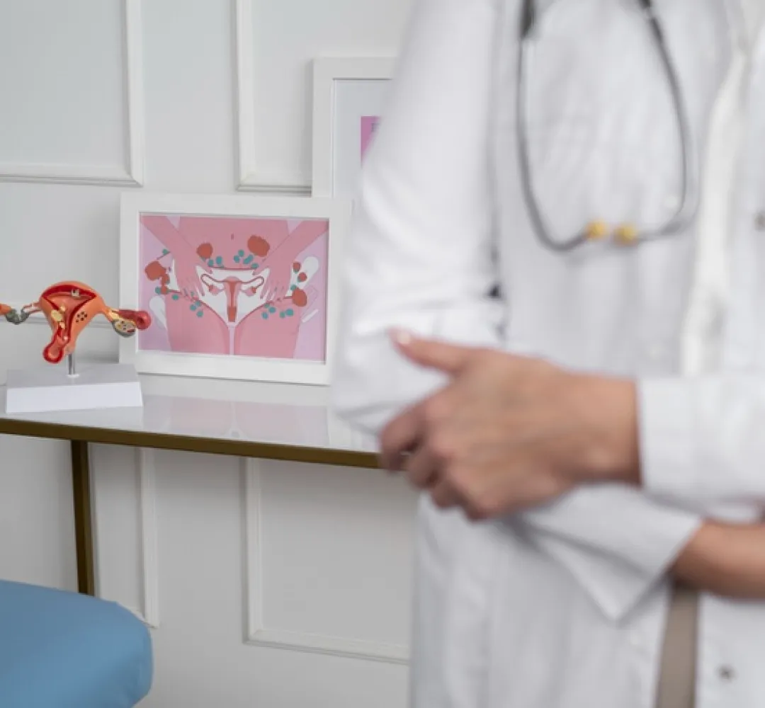 Parlamentares sugere hospital de endometriose