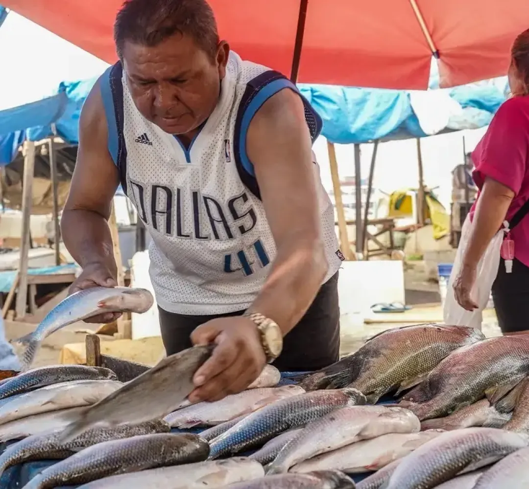 Peixes