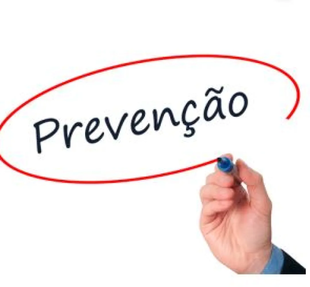 divulgação