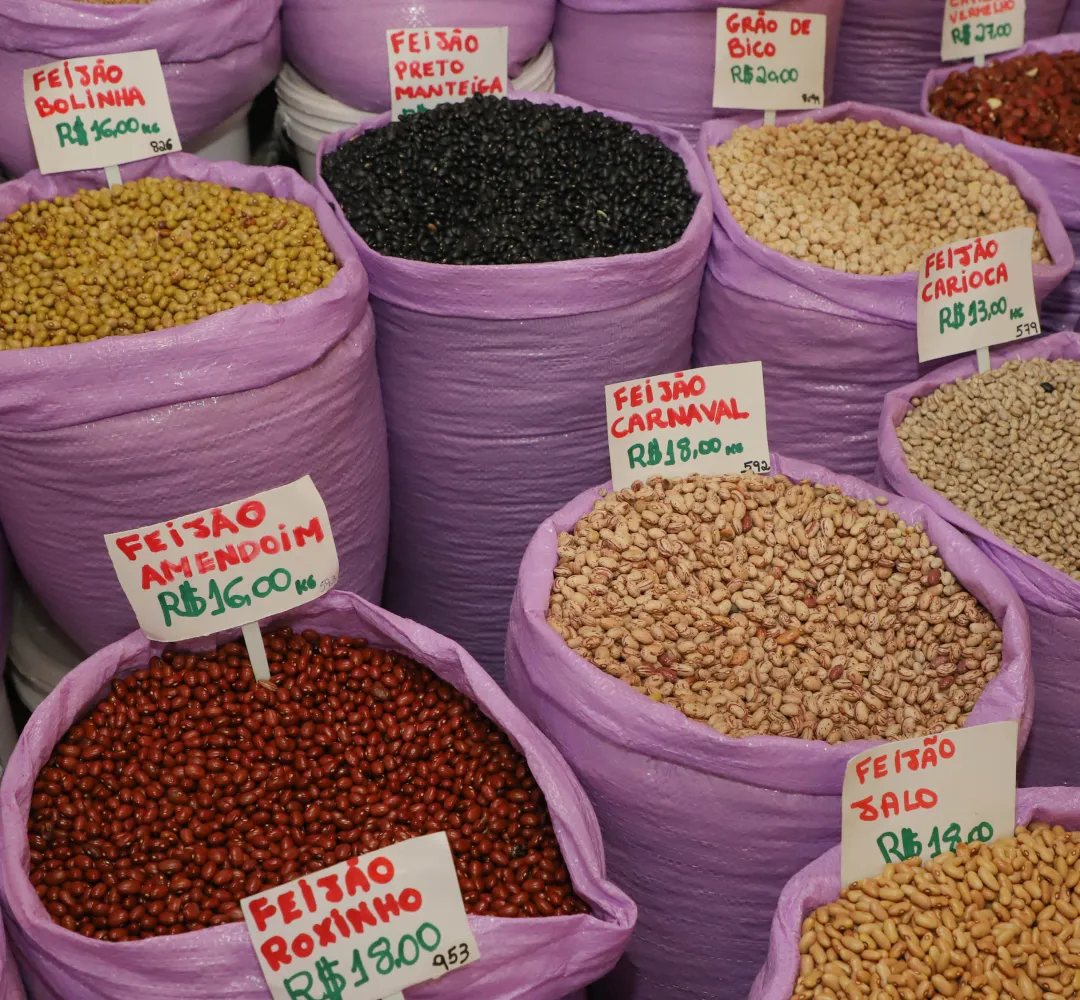 Recorde produção de feijão no Paraná