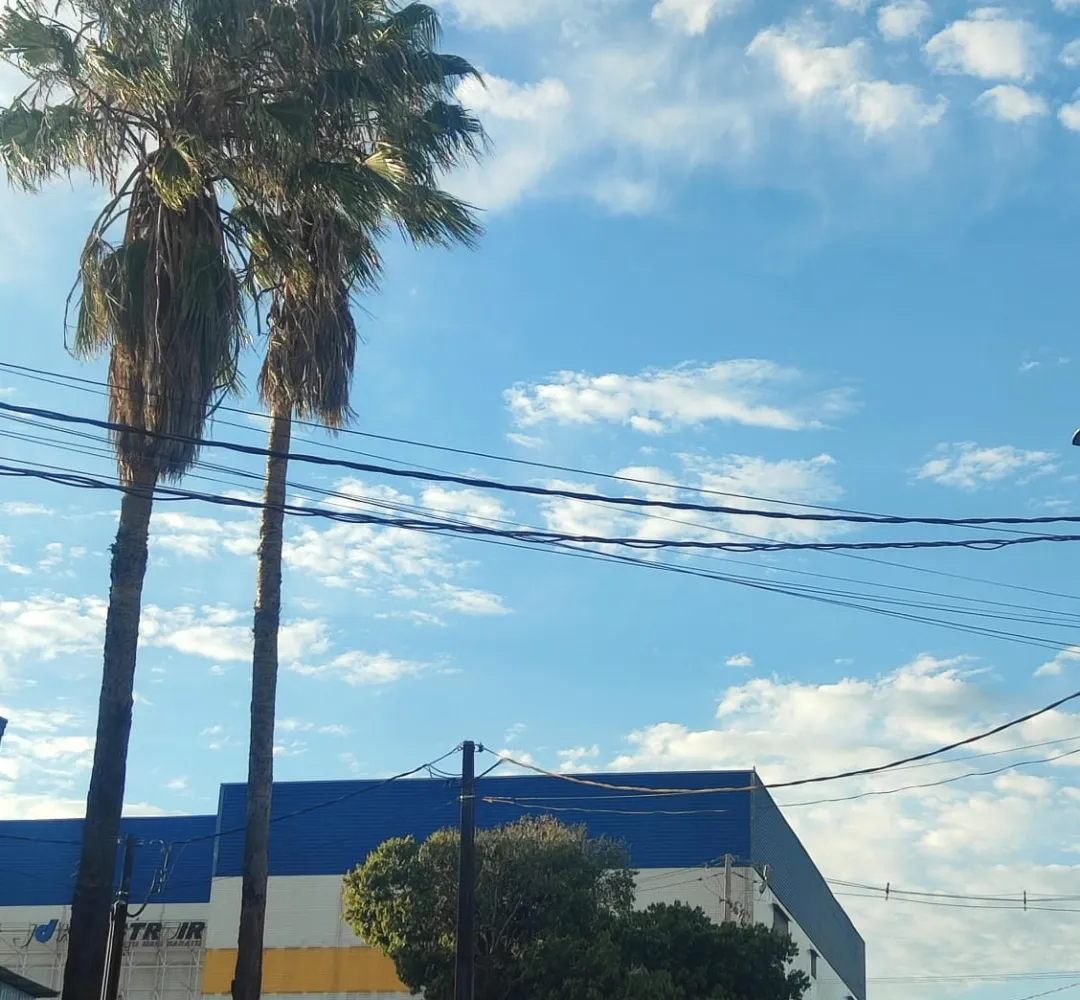 Divulgação