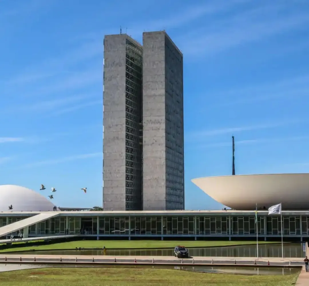 Divulgação