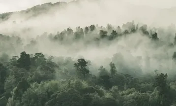Frente fria deve trazer geada para áreas de serra; veja a previsão