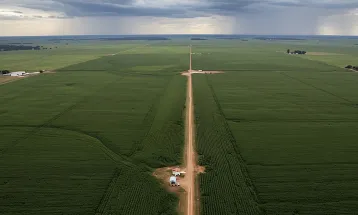 BB reduz projeção de lucro para 2026 e alerta para riscos no agronegócio