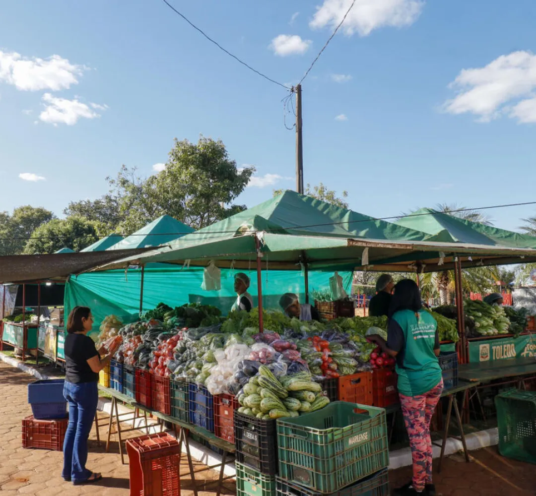 Feira do Agricultor em Toledo
