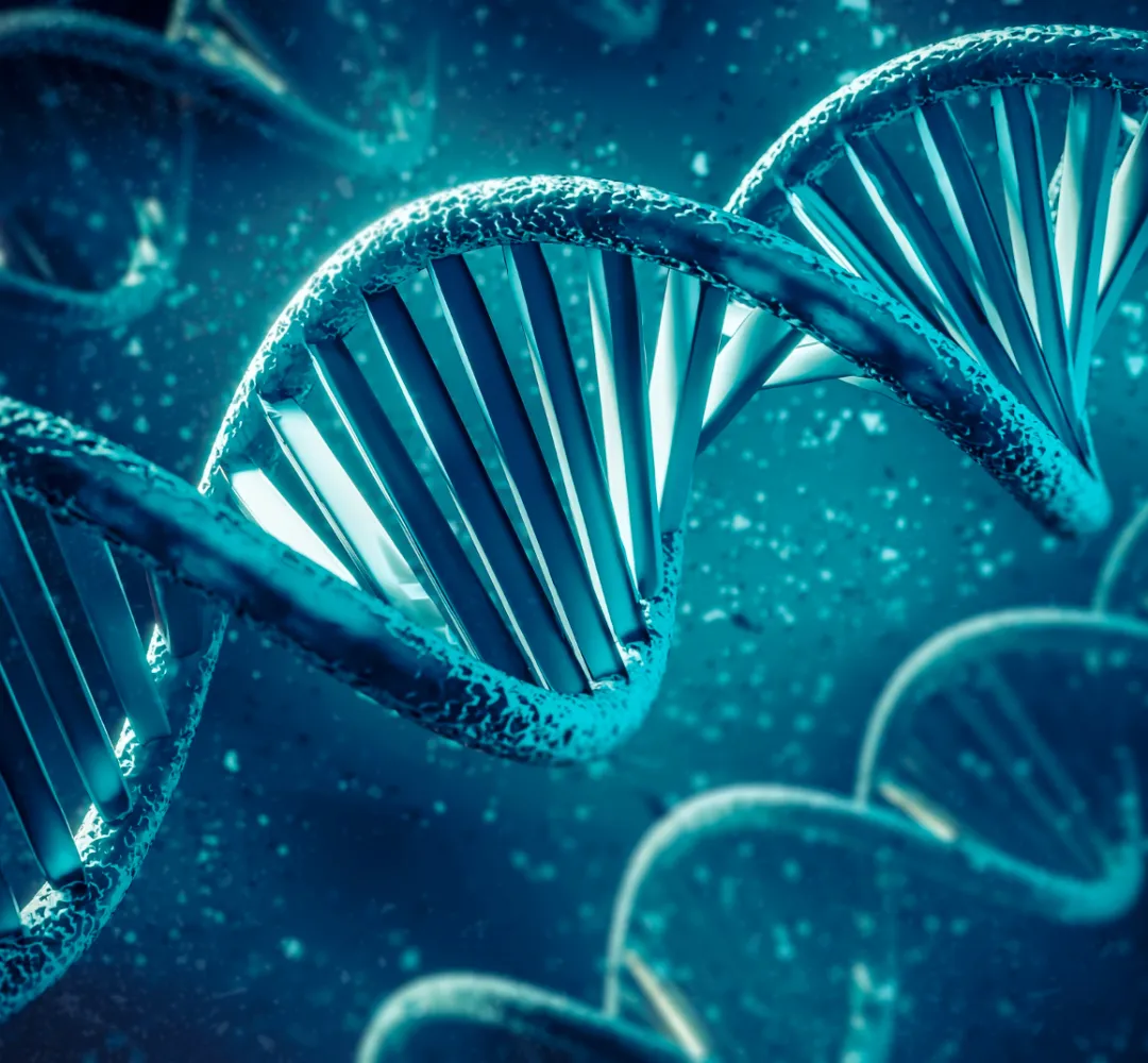 Caso DNA