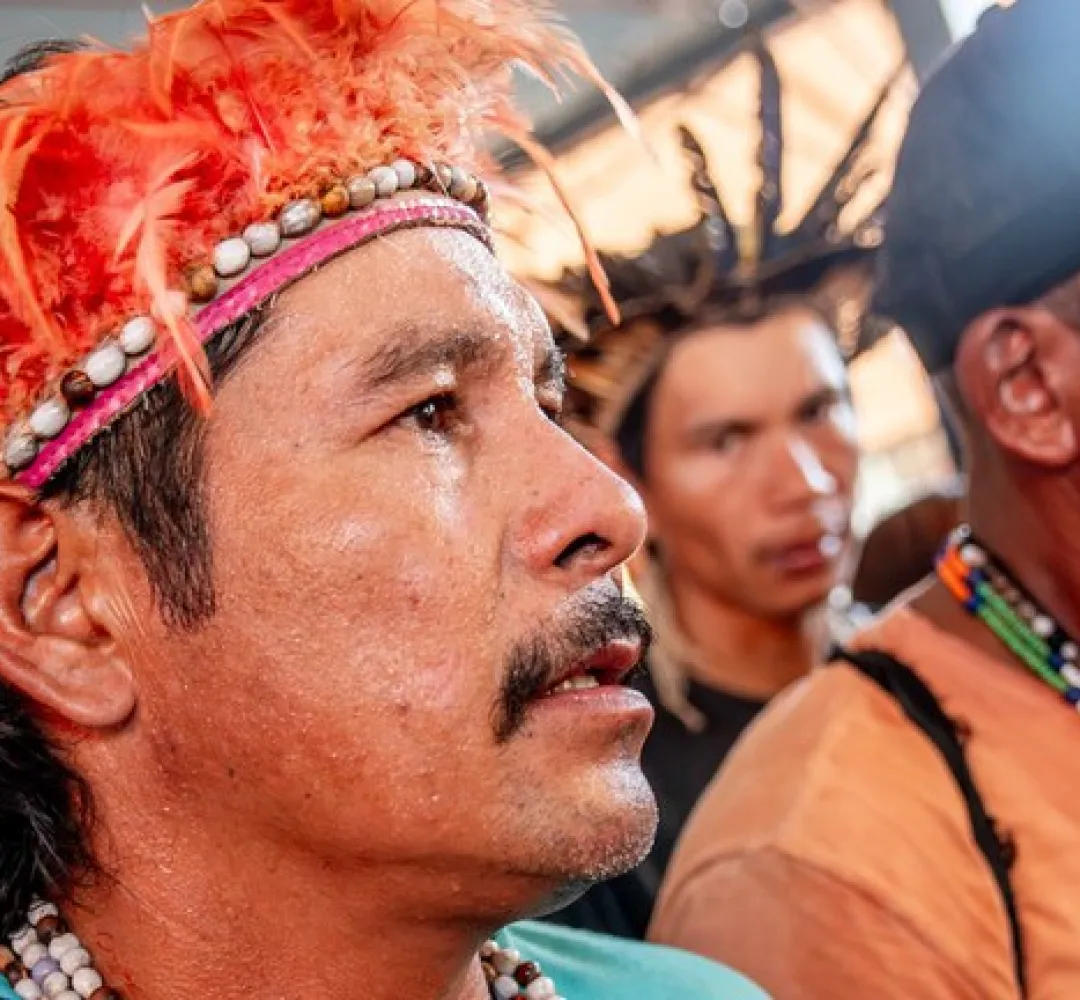 Indigenas