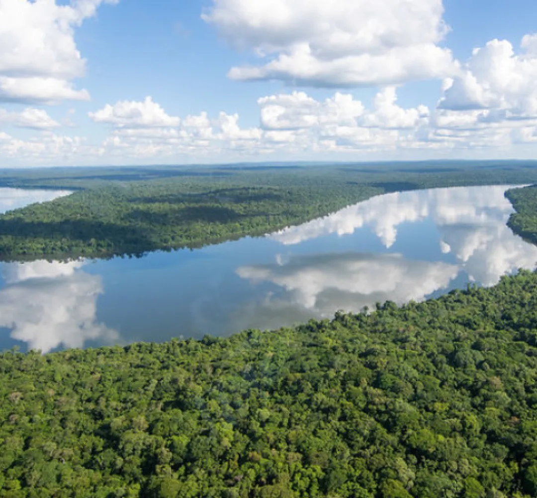 Bacia Rio Iguaçu